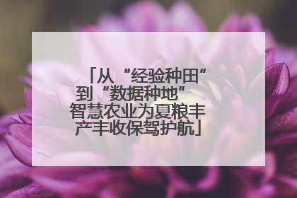从“经验种田”到“数据种地” 智慧农业为夏粮丰产丰收保驾护航