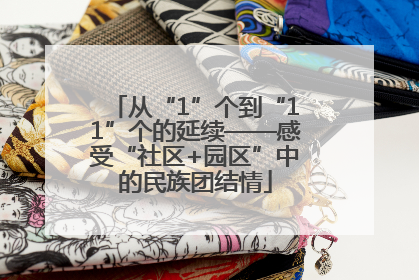 从“1”个到“11”个的延续——感受“社区+园区”中的民族团结情