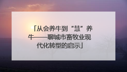 从会养牛到“慧”养牛——聊城市畜牧业现代化转型的启示