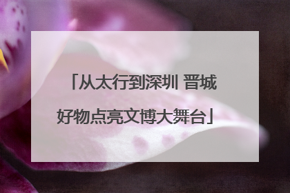 从太行到深圳 晋城好物点亮文博大舞台