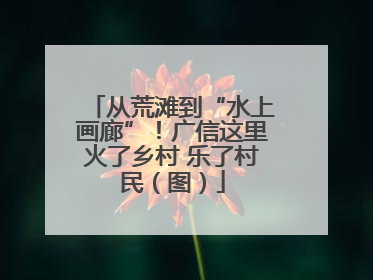从荒滩到“水上画廊”！广信这里火了乡村 乐了村民（图）