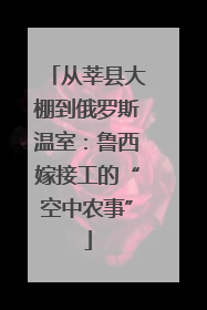 从莘县大棚到俄罗斯温室：鲁西嫁接工的“空中农事”