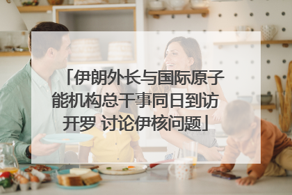 伊朗外长与国际原子能机构总干事同日到访开罗 讨论伊核问题