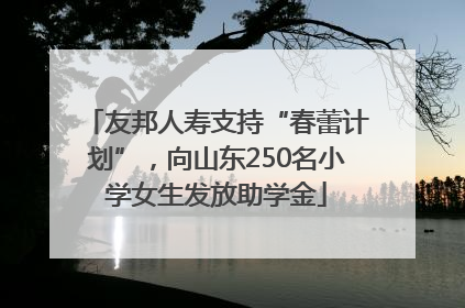友邦人寿支持“春蕾计划”，向山东250名小学女生发放助学金