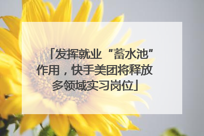 发挥就业“蓄水池”作用，快手美团将释放多领域实习岗位