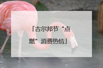 古尔邦节“点燃”消费热情