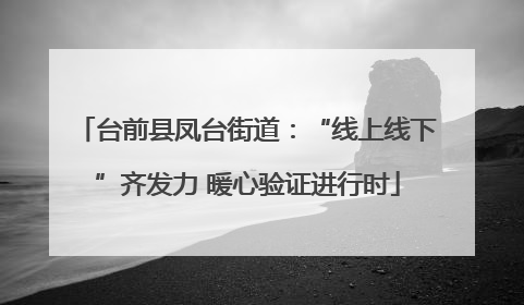 台前县凤台街道：“线上线下”齐发力 暖心验证进行时