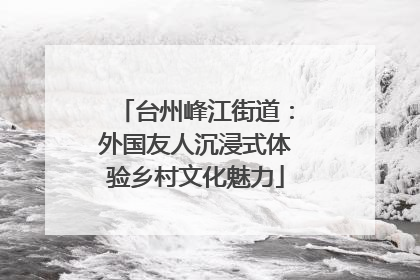 台州峰江街道：外国友人沉浸式体验乡村文化魅力