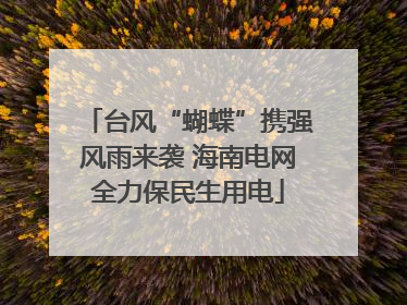 台风“蝴蝶”携强风雨来袭 海南电网全力保民生用电