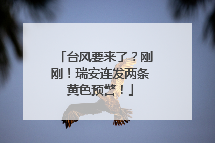台风要来了？刚刚！瑞安连发两条黄色预警！