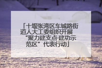 十堰张湾区车城路街道人大工委组织开展 “聚力建支点·建功示范区”代表行动