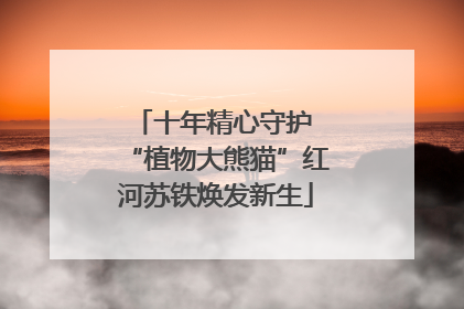 十年精心守护 “植物大熊猫”红河苏铁焕发新生