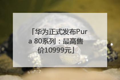 华为正式发布Pura 80系列：最高售价10999元