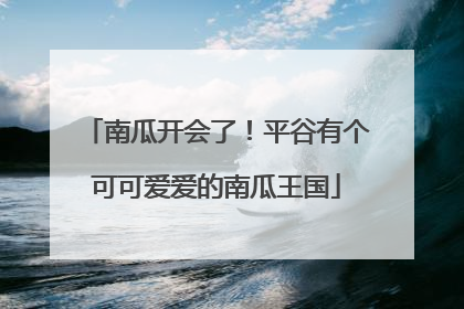 南瓜开会了！平谷有个可可爱爱的南瓜王国