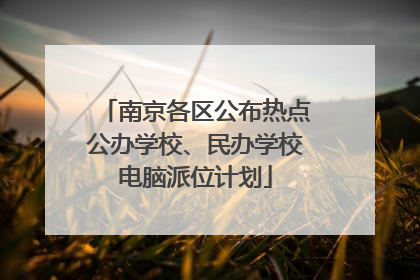 南京各区公布热点公办学校、民办学校电脑派位计划