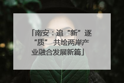 南安：追“新”逐“质” 共绘两岸产业融合发展新篇