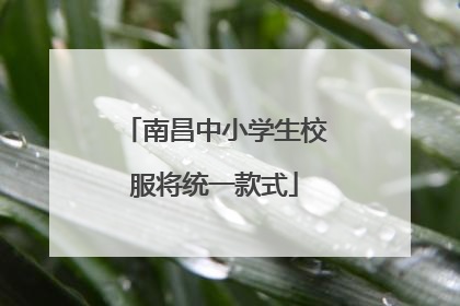南昌中小学生校服将统一款式