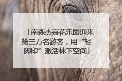 南森杰嘉花乐园迎来第三万名游客，用“轻脚印”激活林下空间