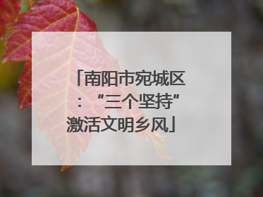 南阳市宛城区：“三个坚持”激活文明乡风