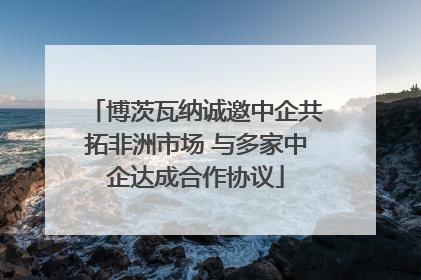 博茨瓦纳诚邀中企共拓非洲市场 与多家中企达成合作协议