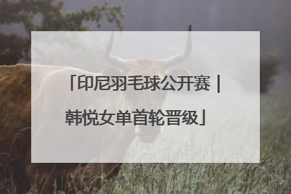 印尼羽毛球公开赛｜韩悦女单首轮晋级