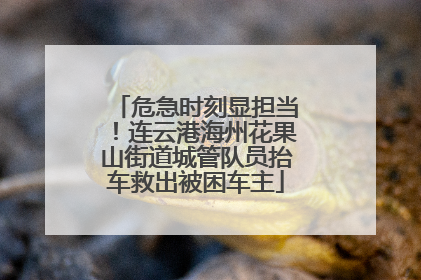 危急时刻显担当！连云港海州花果山街道城管队员抬车救出被困车主