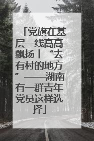 党旗在基层一线高高飘扬丨“去有村的地方”——湖南有一群青年党员这样选择