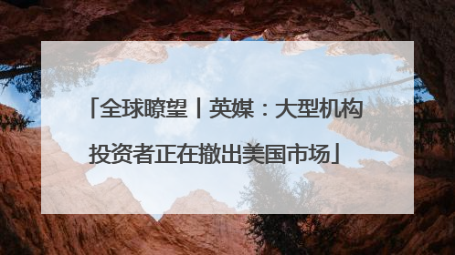 全球瞭望丨英媒：大型机构投资者正在撤出美国市场