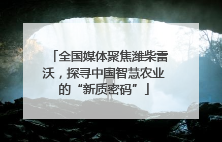 全国媒体聚焦潍柴雷沃，探寻中国智慧农业的“新质密码”