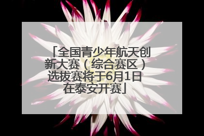 全国青少年航天创新大赛（综合赛区）选拔赛将于6月1日在泰安开赛