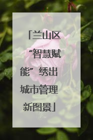 兰山区“智慧赋能”绣出城市管理新图景