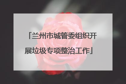 兰州市城管委组织开展垃圾专项整治工作