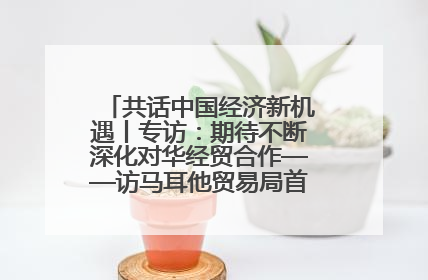 共话中国经济新机遇丨专访：期待不断深化对华经贸合作——访马耳他贸易局首席执行官布蒂吉格