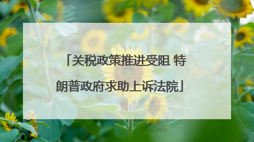 关税政策推进受阻 特朗普政府求助上诉法院