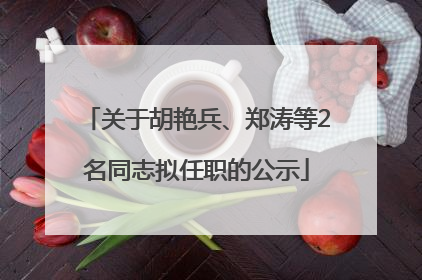 关于胡艳兵、郑涛等2名同志拟任职的公示