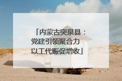 内蒙古突泉县：党建引领聚合力 以工代赈促增收