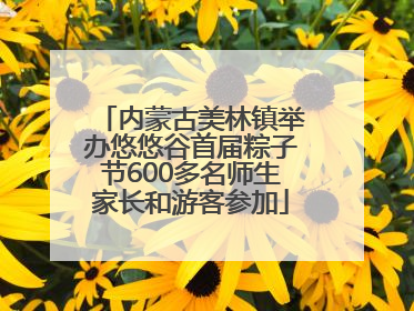内蒙古美林镇举办悠悠谷首届粽子节600多名师生家长和游客参加