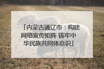 内蒙古通辽市：构建网络宣传矩阵 铸牢中华民族共同体意识