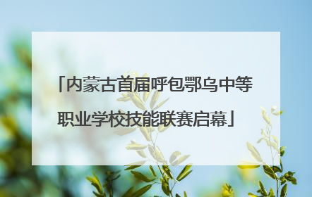 内蒙古首届呼包鄂乌中等职业学校技能联赛启幕