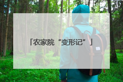 农家院“变形记”