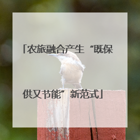农旅融合产生“既保供又节能”新范式