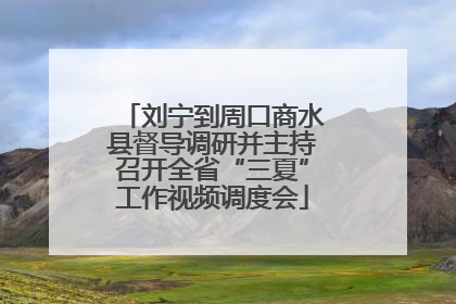 刘宁到周口商水县督导调研并主持召开全省“三夏”工作视频调度会