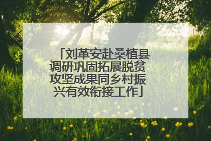 刘革安赴桑植县调研巩固拓展脱贫攻坚成果同乡村振兴有效衔接工作