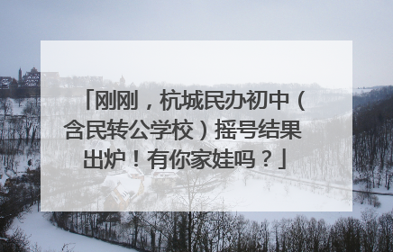 刚刚，杭城民办初中（含民转公学校）摇号结果出炉！有你家娃吗？