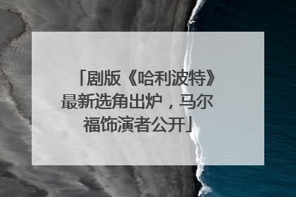 剧版《哈利波特》最新选角出炉，马尔福饰演者公开