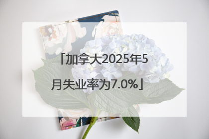 加拿大2025年5月失业率为7.0%