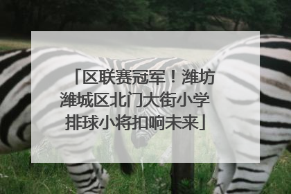 区联赛冠军！潍坊潍城区北门大街小学排球小将扣响未来