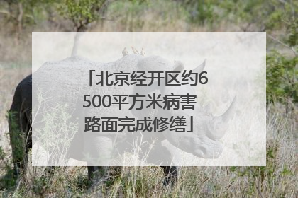 北京经开区约6500平方米病害路面完成修缮