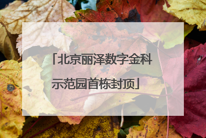 北京丽泽数字金科示范园首栋封顶