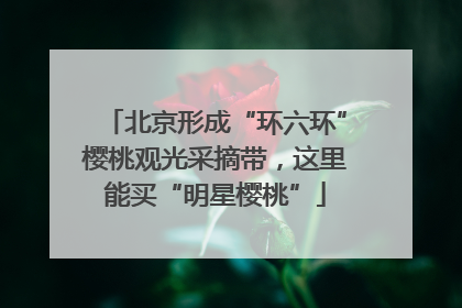 北京形成“环六环”樱桃观光采摘带，这里能买“明星樱桃”